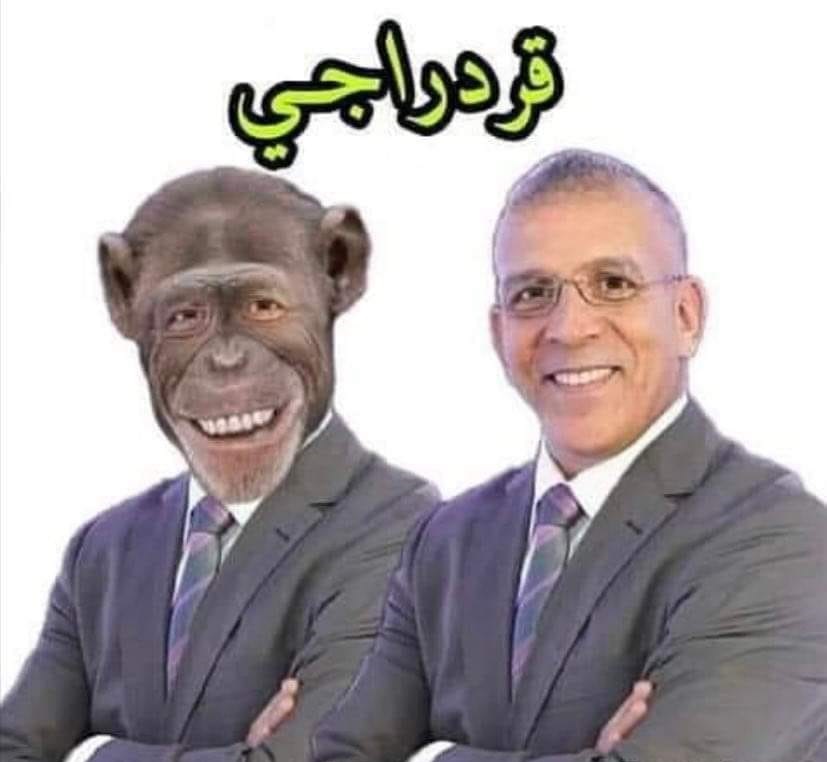 قرداجي يخرط بشكل عشوائي حتى البحر الميت لم يسلم منه وقال أن الجزائر هي من قتلته